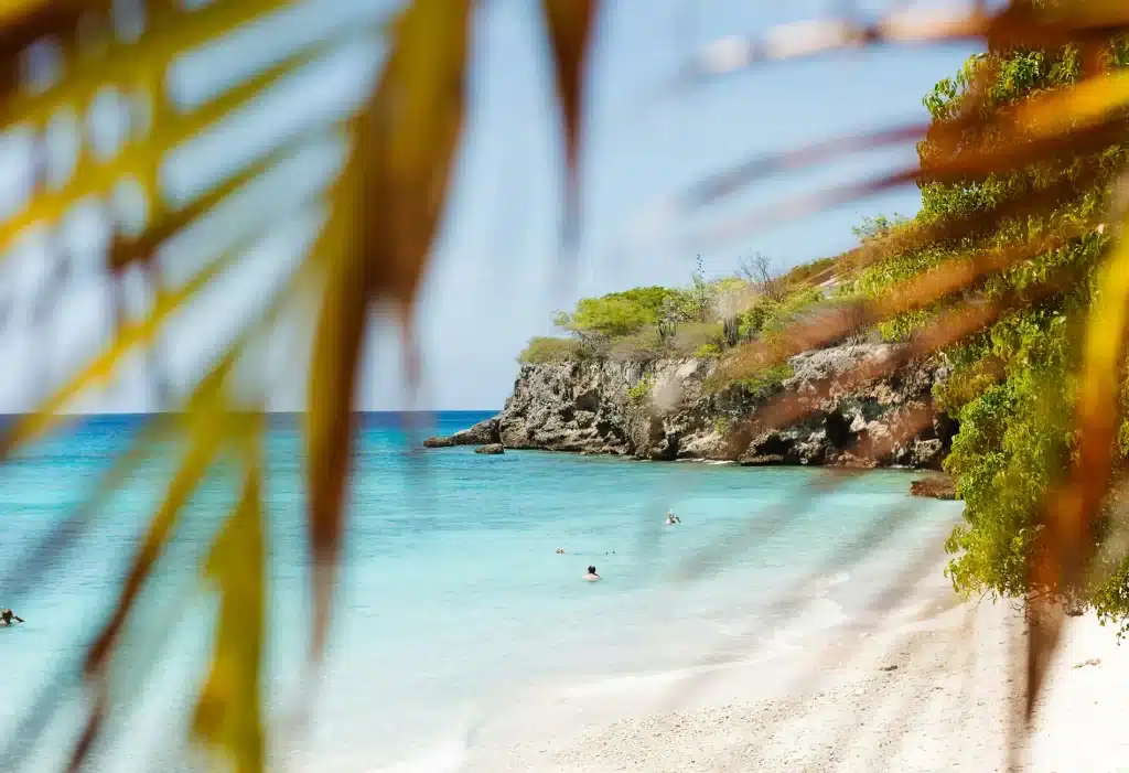 casa greenview ontdek 4